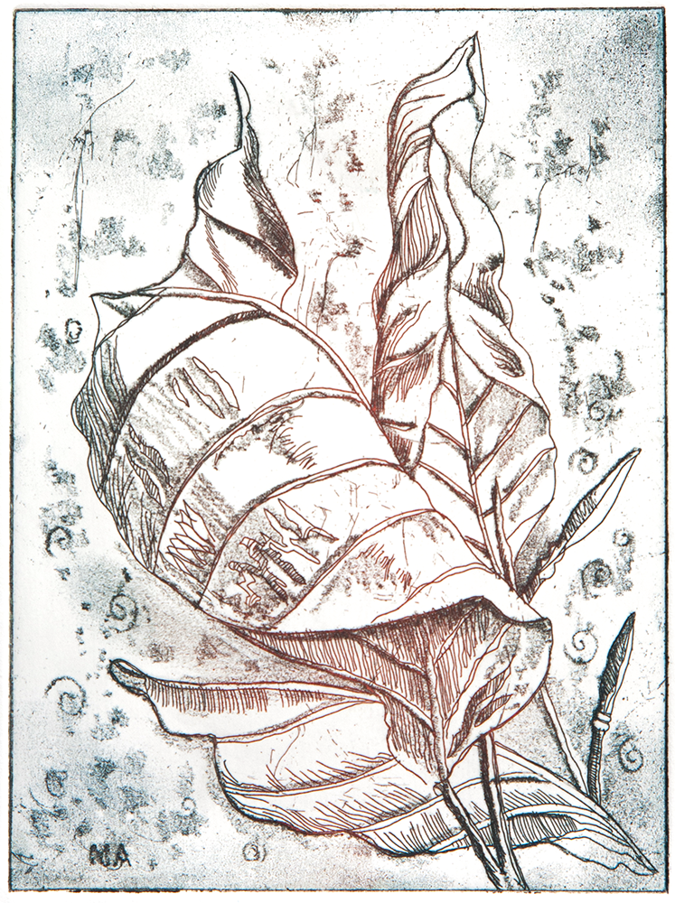 Dry Point – Autumn Leaves